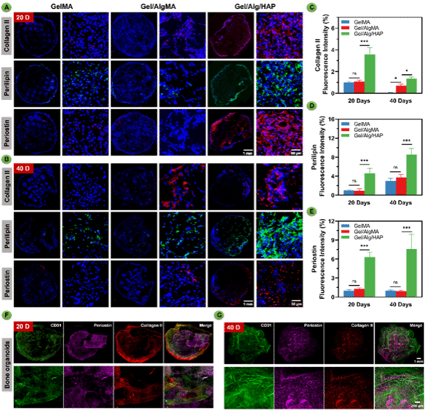 亚美AM8AG·(中国区)官方网站
